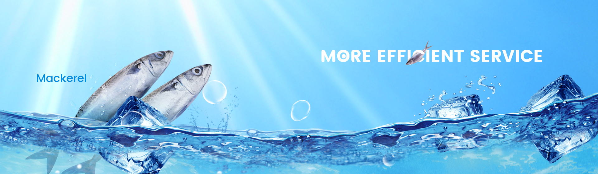 Zhoushan City Shuangying Aquatic Products Co., Ltd.